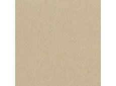 Strathmore Mix Media Toned Tan