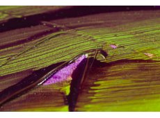 Liquitex Glazing Medium