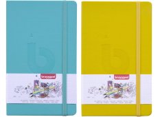BRUYNZEEL BULLET JOURNAL